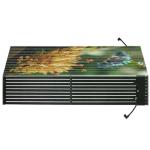 P10.41 Transparent Stage LED Display High Resolution Wide Viewing Angle For