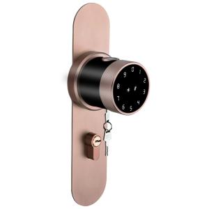 China Fingerprint Smart Lock New Style for Home factory