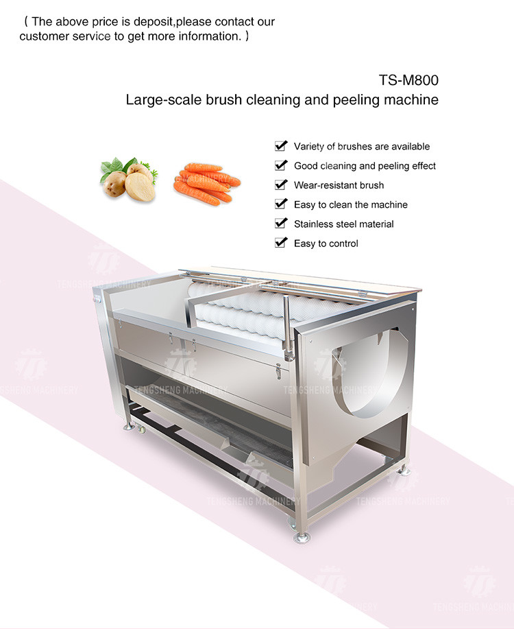 380KG 380V Manufacturers supply large brush washing machine potato carrot washing machine manufacturers direct