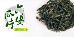China famous Green tea (Longjing/Dragon well green tea)