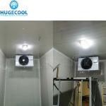 walk-in freezer room for seafood fish meat chicken beef storage with copeland