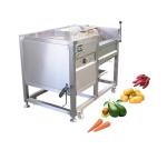 Industrial 500kg/h Potato Ginger Roller Washer Brush Peeling Machine Easy to