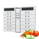 Winnsen Refrigerated Locker Smart Food Eggs Vandal Proof