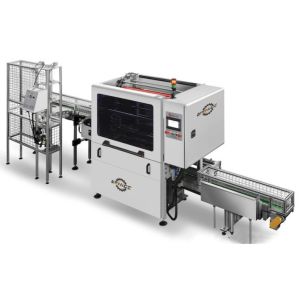 Full Automatic Disposable Plastic Paper Cup Packing Machine