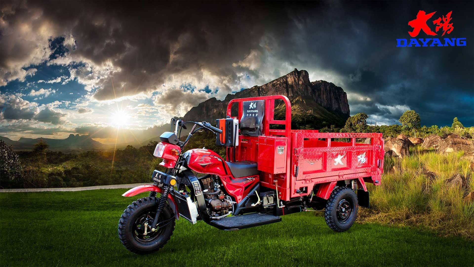 200cc Water Cooling Three Wheel Tricycles Open Body 3 Wheel Cargo Motorcycle for Your