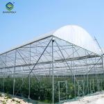 Customized Color Plastic Cover Greenhouse For Blueberries Growth