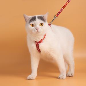 China Adjustable Anti Break Off Cat Traction Rope S M L XL factory