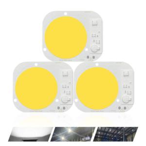 China AC 220V LED COB Module 50W High Power Smart IC Flip LED Chip factory