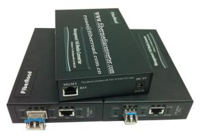 China Standalone Web-Smart 10G Managed Media Converter factory