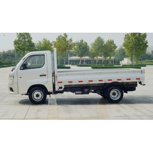 FOTON 4x2 Gasoline Mini Truck