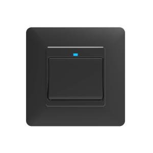 China Tuya Light 1 Gang Push Button Smart Wifi Wall Switch OEM Compatible With Alexa / Google Home factory