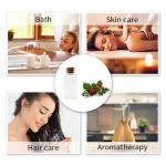 High quality 100% Pure Natural Holly Essential oil For Massage/Spa/Cosmetics
