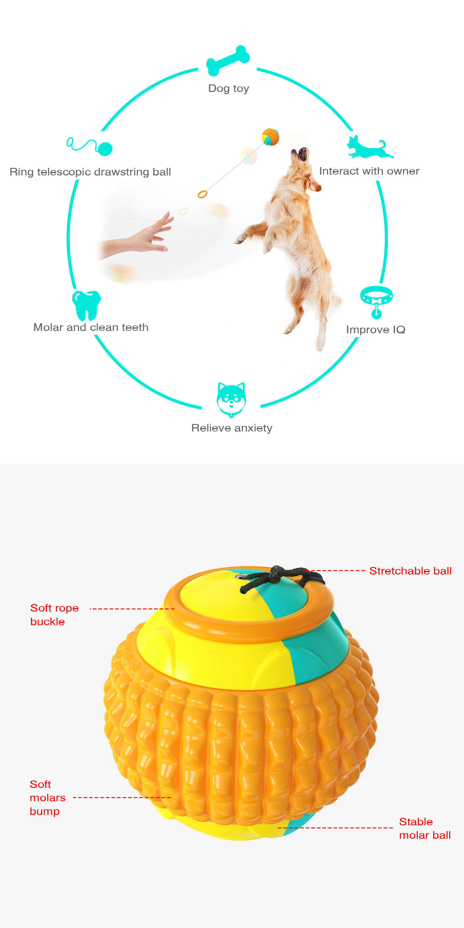 Bite Resistant Chewy Treat Ball Stretchable Throw Ball Dog Toy