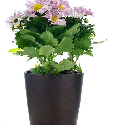 Custom Color Rotational Garden Planter Molds PE Planters Rotomold Tooling