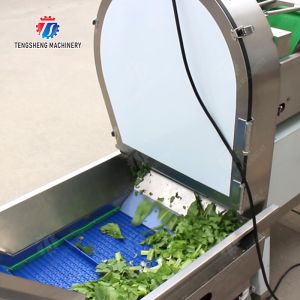 Fruit and vegetable selection, cutting and washing production line Fruit