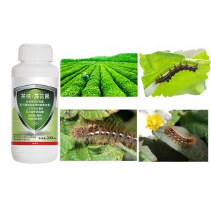 China Certified Natural Organic Pesticide Kill Tea Geometrid Caterpillar Fly Insecticide factory