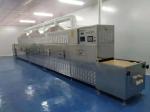 Continuous Working Insects Dryer Tunnel Microwave Drying Machine