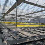 150-200micro Plastic Film Greenhouse Four Seasons With Whole System Flowers