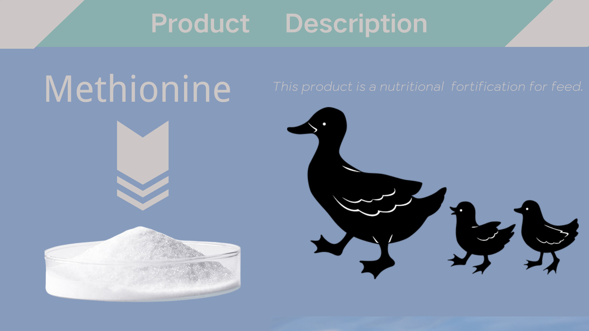 Feed Grade DL Methionine 99% Powder Antibiotic Antibacterial Agents for Poultry Feed