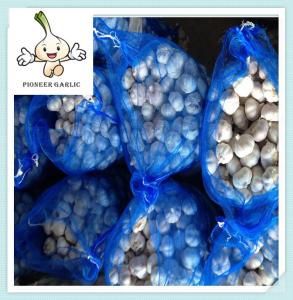 China best price qualified price of fresh garlic shandong pure white garlic factory