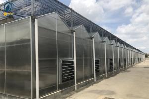 China Customized Polycarbonate Panel Greenhouse Year Round Vegetable Greenhouse factory