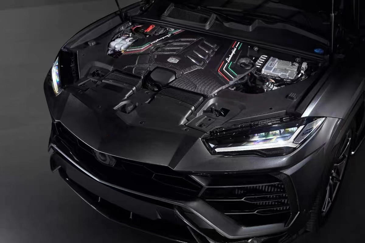 2019 Black Lamborghini Body Kit Dry Carbon Fiber Engine Interior Guard Shield