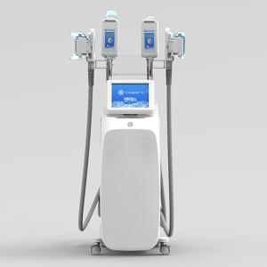 China Beauty Salon Mini Cryolipolysis Fat Freezing Machine factory