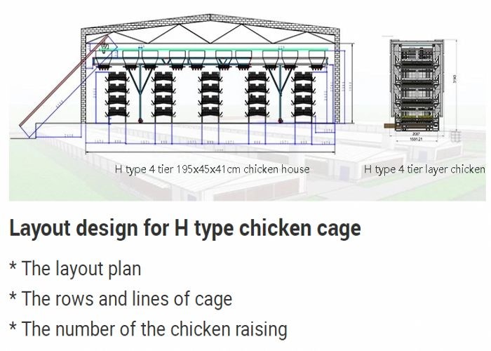 Eco - Friendly H Type Layer Chicken Cage Low Noise For Layers Poultry Farm