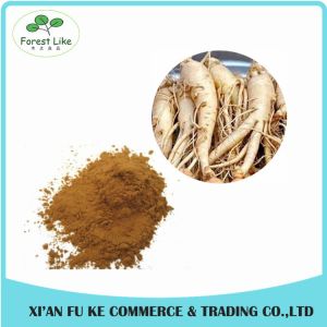 Panama Ginseng Extract Ginsenosides