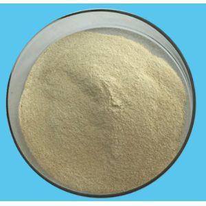 CAS 9000-70-8 Stabilizing Agent PH6.5 Halal Gelatin Powder