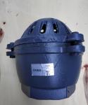 4'' BS21 PN16 GG20 cast iron foot valve