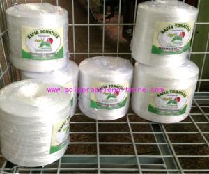 China PP Irrigation UV Stabilisation Tomato Tying Garden Twine Water Resistant factory