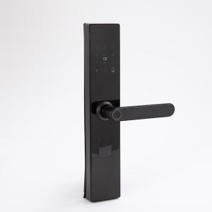 China Electronic Fingerprint Smart Door Lock Zinc Alloy Body Door Lock factory