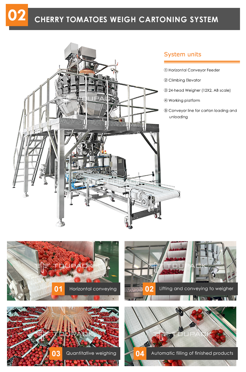 Automatic Fruit Packing Machine Apple Cherry Tomato Canning Packing Kumquat Tray Packaging Machine