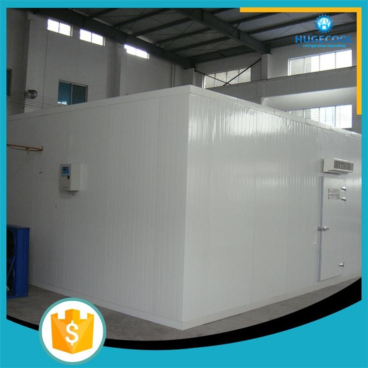 Fire Proof Modular Freezer Cold Room Perfect Heat Insulation For Frozen Fish