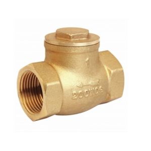 Medium Pressure ISO228 200 WOG 4" Brass Check Valve