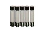 High Breaking Capacity 6.35x32mm Time Delay Cylindrical Ceramic Tube Fuse Link