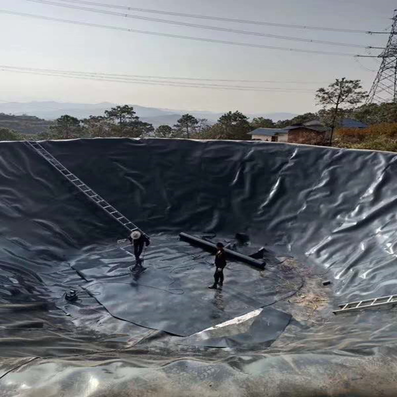 0.1mm 3mm HDPE Geomembrane Pond Liner for Fish Shrimp Farm 100% Virgin HDPE Material