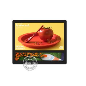 Wall Mount Dual LCD USB Elevator Advertising Screen