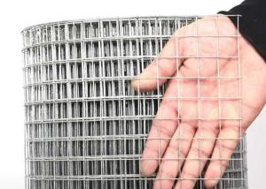 China 2mm Wire Diameter 1&quot;X 1/2&quot; 1x1 Hole Stainless Steel Welded Wire Mesh For Brid Cage factory