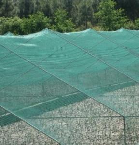 China Greenhouse Anti Insect Netting 1m-4m Green Abrasion Resistance factory