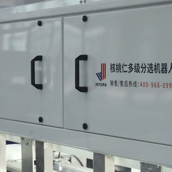 Advanced Walnut Kernel Classification Machine Provides Complete Dual-Side