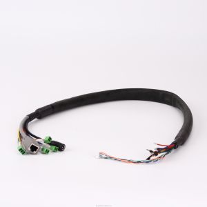 China Customized Design 20AWG Wire Harness with 100% Testing Inspection and RoHS Certification factory