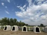 Modern Cattle Sheds Steel Structure Cow Barn And Cow Shed Customized