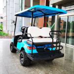 OEM 50km Range Electric LSV Aetric Golf Cart With Lead Acid Battery