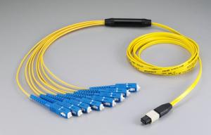 China Fan Out Fiber Cable Assembly 12C/24C MPO-SC Low Loss MTP Male Connector 1310/1550nm factory