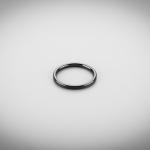LIGHTWEIGHT PUMP SILICON CARBIDE GASKET RING IN AUTOMOBILE INDUSTRY