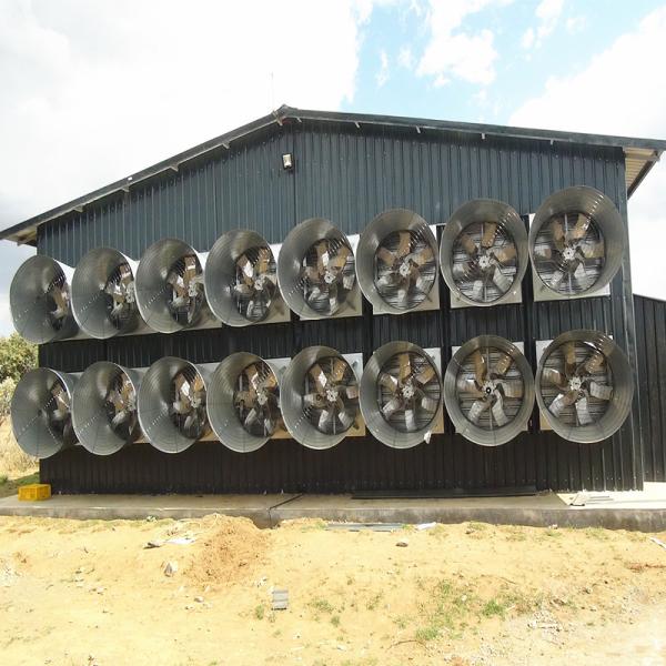 46000m3/H Chicken Farm Industrial Ventilation Fan 1270mm Poultry Control Shed