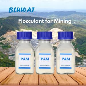 China Polyacrylamide Flocculant Polyelectrolyte For Mining Thickening Tailings Slurry factory