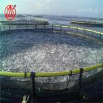 PE Circular Floating Fish Cage High Tensile Strength Seawater Resistant